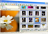 Imagefap downloader